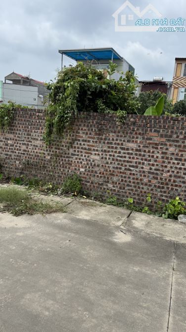 ⛳️LÔ ĐẤT ĐẸP – VIP TẠI HỘI PHỤ ĐÔNG HỘI ĐÔNG ANH 🚘🚘ĐƯỜNG OTO TRÁNH NGAY KHU ĐẤU GIÁ🌿🌿 - 2