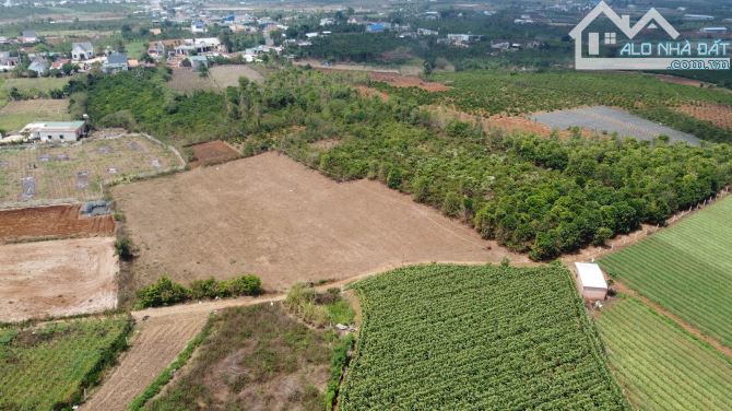 Bán đất 1335m2 có 300m2 đất ở đức trọng nghỉ dưỡng MT 12m Nở Hậu chỉ 1,95ty - 2
