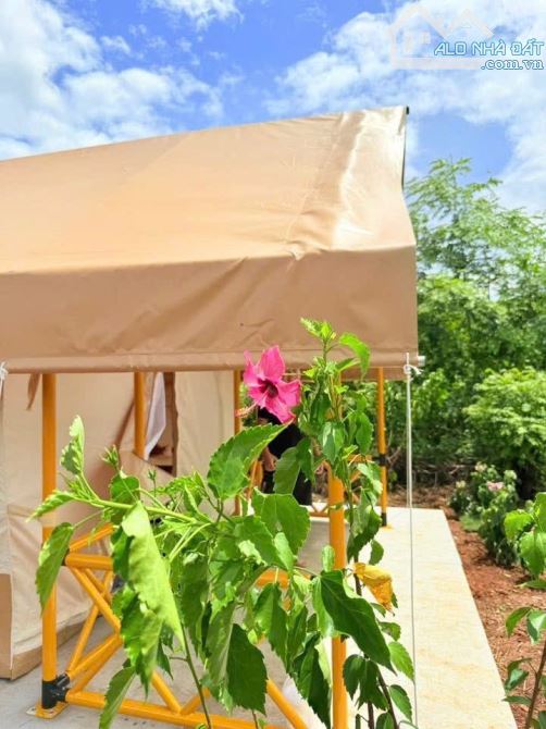 🌹 Bán 1000m2 tặng nhà vườn view sông Serepok tuyệt đẹp. - 2