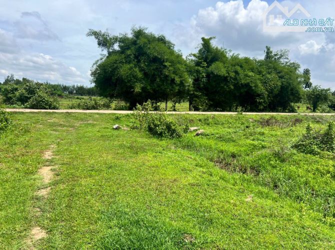 BÁN ĐẤT LỚN 5,8HA – 2 MẶT TIỀN ĐƯỜNG BÊ TÔNG – SÁT VÀNH ĐAI 4 – GIÁ MỀM CHO NHÀ ĐẦU TƯ - 2