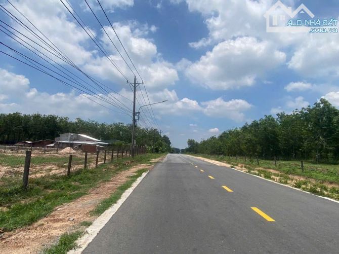 Chủ kẹt tiền nên bán Gấp lô đất 200m2 có 100 thổ giá 290triệu,sổ hồng - 2