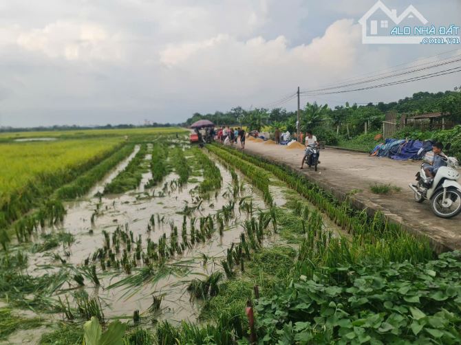 Bán 100m2 bìa làng Dục Tú - xã Đông Anh - quy hoạch đường 17m, giá 8xtr/m2 - 2