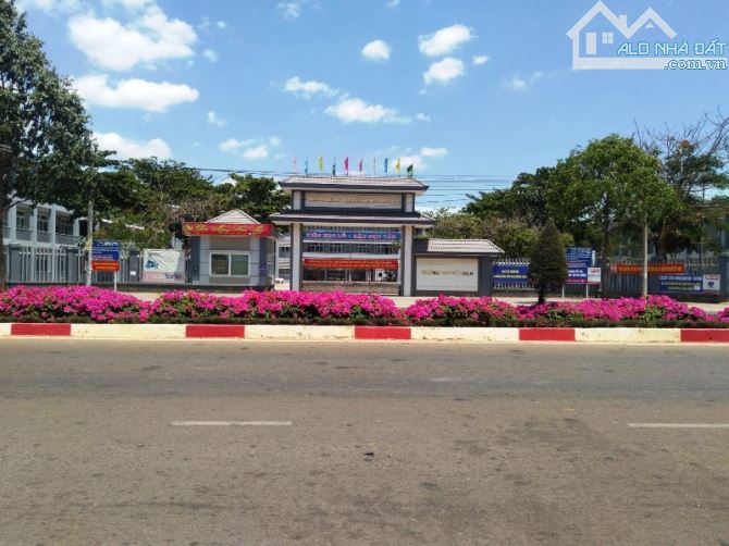 NGỘP BANK – BÁN GẤP LÔ ĐẸP 578m² – HẮC DỊCH – PHÚ MỸ - 3