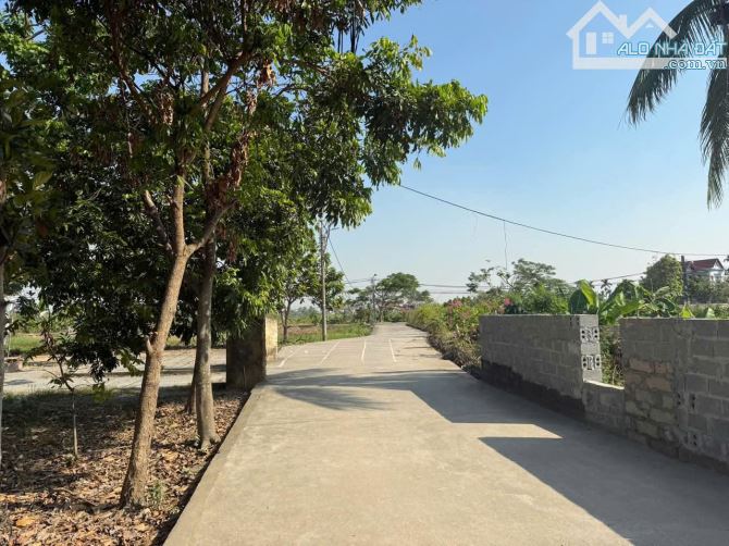 SIÊU RẺ – CHỈ 1,2 tỷ– LÔ ĐẤT 40M² TẠI QUỲNH CƯ, HÙNG VƯƠNG, HỒNG BÀNG - 3