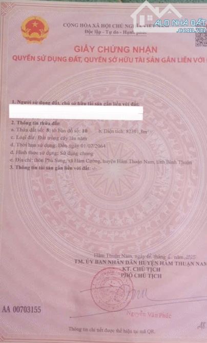 💥BÁN ĐẤT ĐỒI TẠI XÃ HÀM HIỆM - TỈNH BÌNH THUẬN - 3