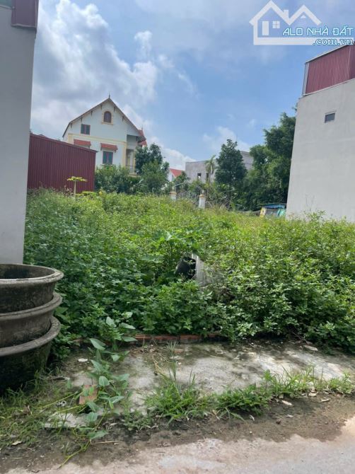 Lô đất đẹp 79,6m² tại AB Quán Trạch – Xã Văn Giang mới đường ô tô vào tận đất, hướng ĐN - 3