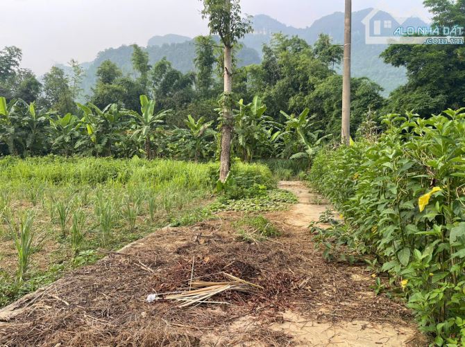 Cần bán ra lô đất FULL ĐẤT Ở diện tích 352m tại Lâm Sơn, Lương Sơn giá chỉ 2 tỷ xíu - 3