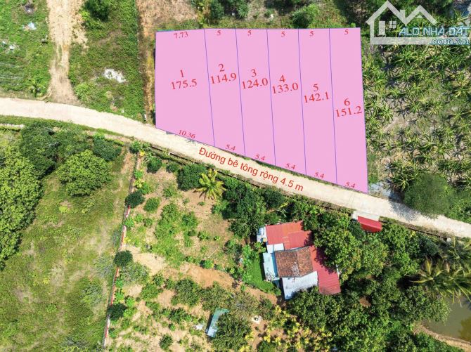 💥Lock 6 lô Diên Thọ đẹp giá chỉ từ 430triệu. Cách tỉnh lộ 2 100m💥 - 3