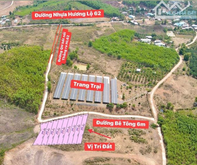 Đất Thổ Cư Khánh Phú gần KCN Sông Cầu và HL62 đường Liên Vùng đang thi công. Giá chỉ từ 31 - 4