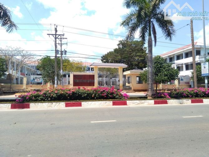 NGỘP BANK – BÁN GẤP LÔ ĐẸP 578m² – HẮC DỊCH – PHÚ MỸ - 4