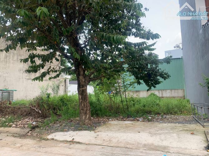 Đất KDC Tham Lương Nguyễn Văn Quá QL1A SHR 5x27 chỉ 50tr/m2 - 4