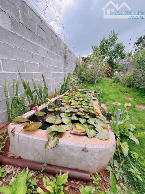 NHÀ VƯỜN ĐẸP NGAY HỔ HIMLAM GIÁ RẺ - 4