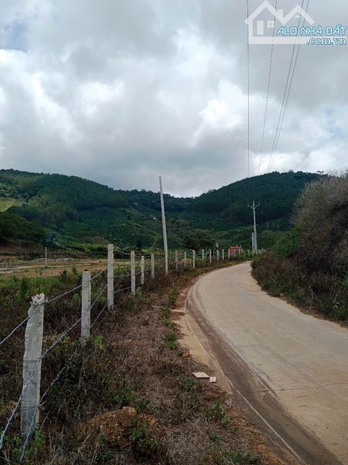 Bán đất 5,6hecta đất nông nghiệp Ka Đơn Đơn Dương Lâm Đồng giá 420triệu/sào - 4