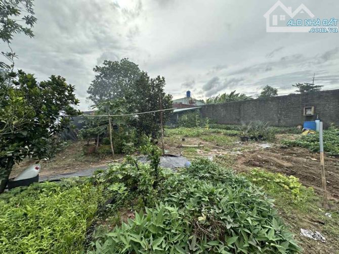 Cơ hội vàng 1110m2 đất thổ cư - MT  Đặng Công Bỉnh- Xuân Thới Thượng Hóc Môn Chỉ 45 tỷ - 4