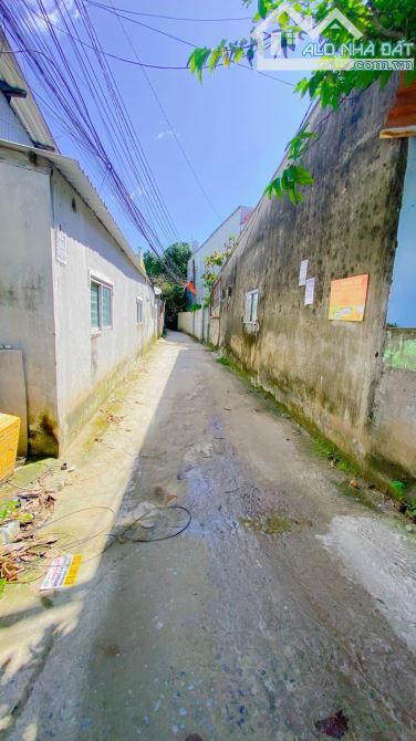 Bán đất 155 m2 thổ cư hẻm 98 đường Tầm Vu - 4
