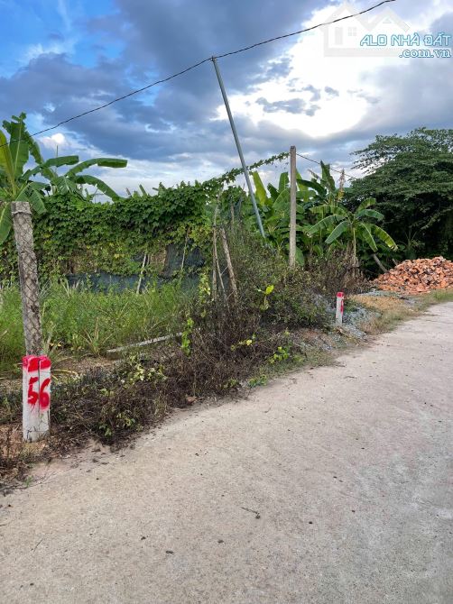 💥Lock 6 lô Diên Thọ đẹp giá chỉ từ 430triệu. Cách tỉnh lộ 2 100m💥 - 4