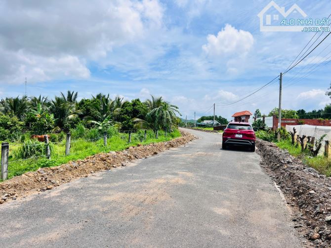 BÁN LÔ ĐẤT MẶT TIỀN ĐƯỜNG NHỰA TT PHƯỚC HẢI  LƯNG TỰA NÚI MINH ĐẠM DT 1000m2 CÓ 160M2 THCƯ - 4