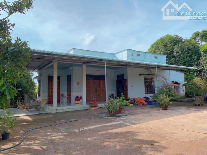 Bán hơn 1 mẫu 6 (16.240m2) đất Láng Lớn, huyện Châu Đức, BRVT - 4