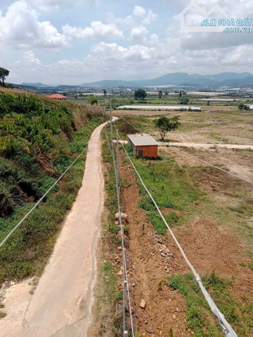Bán đất 5,6hecta đất nông nghiệp Ka Đơn Đơn Dương Lâm Đồng giá 420triệu/sào - 5