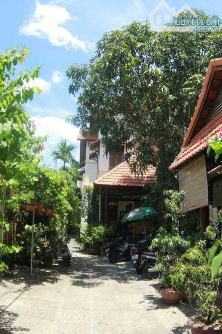 🏡 CẦN BÁN NHÀ SÂN VƯỜN TRÊN MẢNH ĐẤT RỘNG 505M² – KIỆT Ô TÔ ĐƯỜNG NGŨ HÀNH SƠN, ĐÀ NẴNG - 5