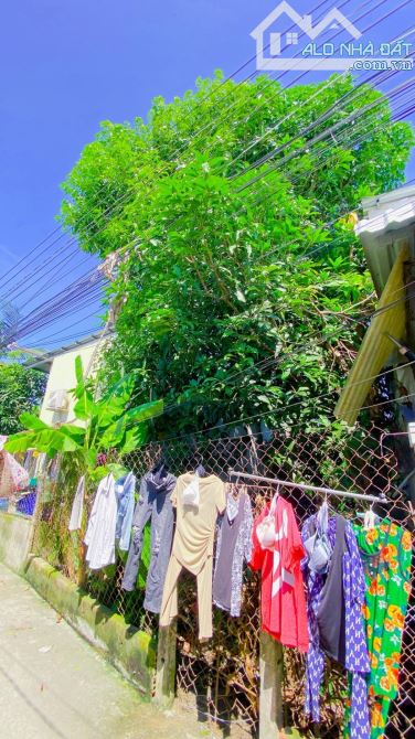 Bán đất 155 m2 thổ cư hẻm 98 đường Tầm Vu - 6