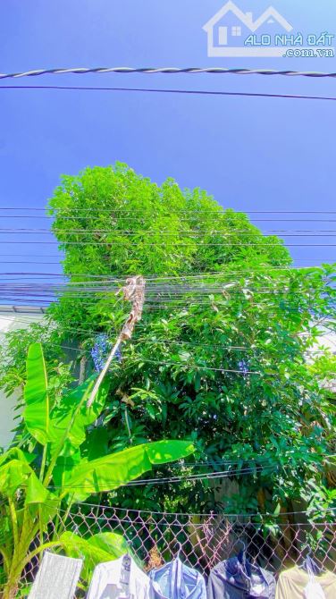 Bán đất 155 m2 thổ cư hẻm 98 đường Tầm Vu - 8