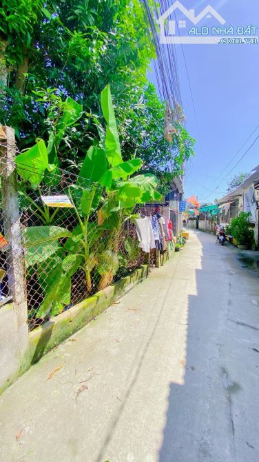 Bán đất 155 m2 thổ cư hẻm 98 đường Tầm Vu - 9