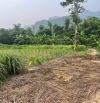 Cần bán ra lô đất FULL ĐẤT Ở diện tích 352m tại Lâm Sơn, Lương Sơn giá chỉ 2 tỷ xíu