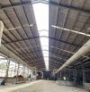 Bán nhà máy chế biến lâm sản, đan nhựa giả mây, gia công cơ khí trong KCN