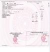 Bán 2 căn nhà MT đường D1 KDC Vietsing p.Thuận Giao Tp.Thuận An chỉ 19ty TL M6918