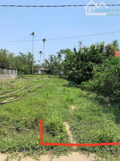 ĐẤT QUẢNG PHÚ, QUẢNG ĐIỀN GIÁ RẺ - 100M2 - 350 TRIỆU