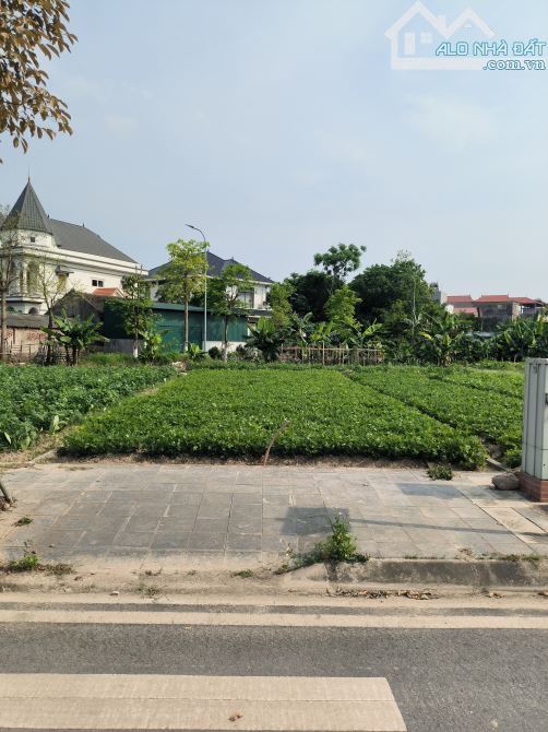 BÁN ĐẤT ĐẤU GIÁ X7 LIÊN HÀ ĐÔNG ANH 99M2 - LÔ GÓC 6MT - GIÁ 10.5 TỶ