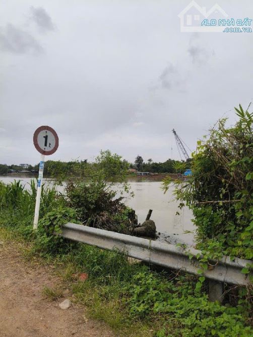 🔥Đất trồng ,đường Nhị Bình 15,xã Nhị Bình,Hóc Môn.dt 503,4m2 (7,5x67,5) đường 5m💵3.7tỷ.t