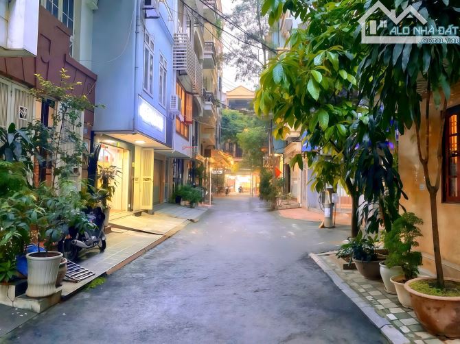 Bán nhà phân lô Trần Quang Diệu 42m2*5T,vỉa hè, kinh doanh,oto tránh,10m ra phố,giá 17tỷ.