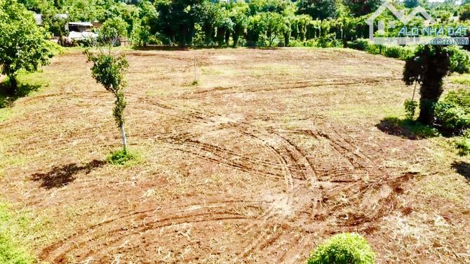 [CƠ HỘI ĐẦU TƯ] 5.500m2 Đất thổ 2 Mặt Tiền – Gần Trung Tâm Buôn Hồ, Daklak chỉ 1tỷ290tr - 10