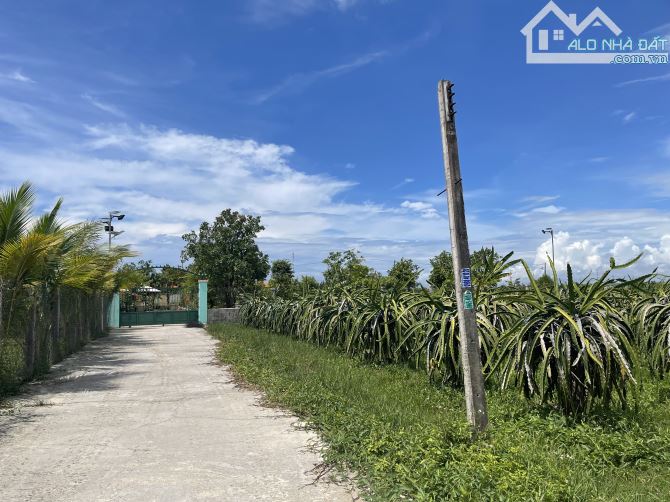 Chính chủ gửi bán 300m2 thổ cư hàm liêm cách ql28 2km. - 1