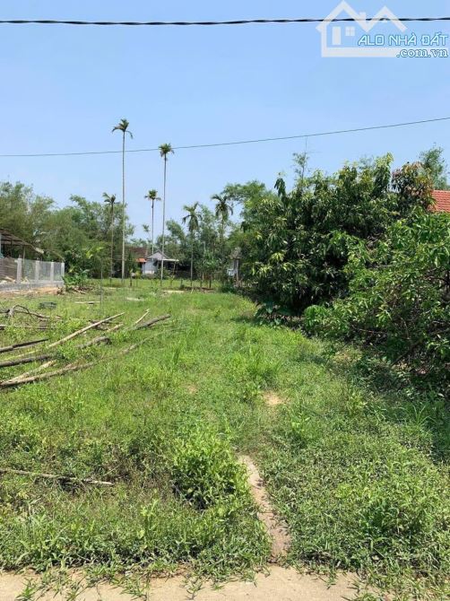ĐẤT QUẢNG PHÚ, QUẢNG ĐIỀN GIÁ RẺ - 100M2 - 350 TRIỆU - 1