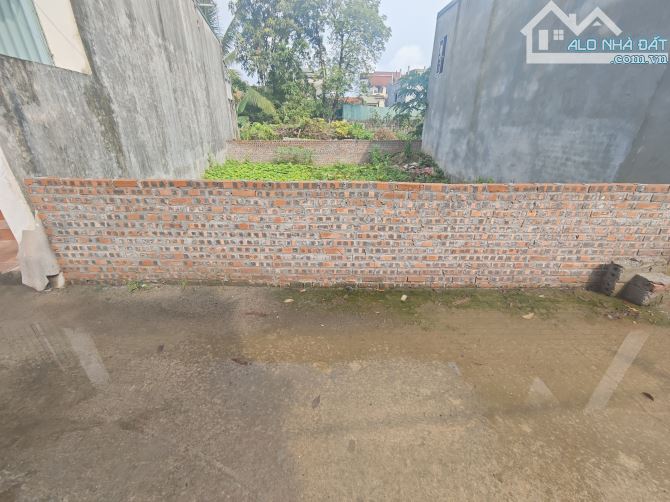 Bán đất đấu giá thôn 3 Vạn Phúc, Thanh Trì, 57m2, đường thông ô tô, giá 3,85 tỷ - 1