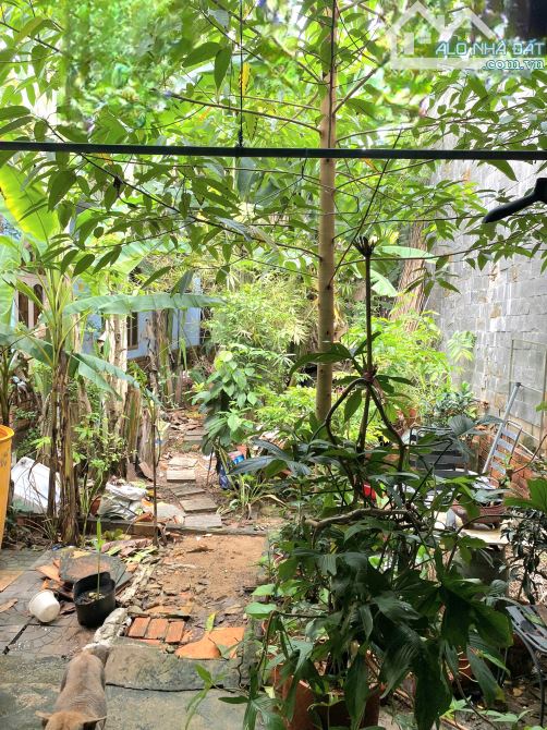 🏡 LÔ ĐẤT NGANG KHỦNG 9M – SÁT VINHOMES – GIÁ TỐT NHẤT KHU VỰC! 📍 P. Long Thạnh Mỹ, TP. T - 1