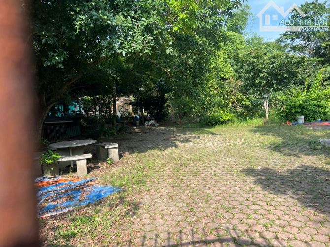 CẦN BÁN ĐẤT ĐẸP QUYẾT THẮNG - TP THÁI NGUYÊN - DT 3.450M² - CÓ 300M² THỔ CƯ - 1