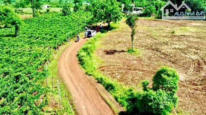 [CƠ HỘI ĐẦU TƯ] 5.500m2 Đất thổ 2 Mặt Tiền – Gần Trung Tâm Buôn Hồ, Daklak chỉ 1tỷ290tr - 1