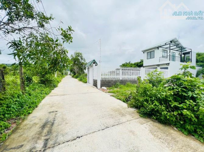 thị trấn Phước Hải-dt 1000M2 - 30M mặt tiền-(30x33) đất phủ hồng-sổ sẵn-giá 3tyx - 1