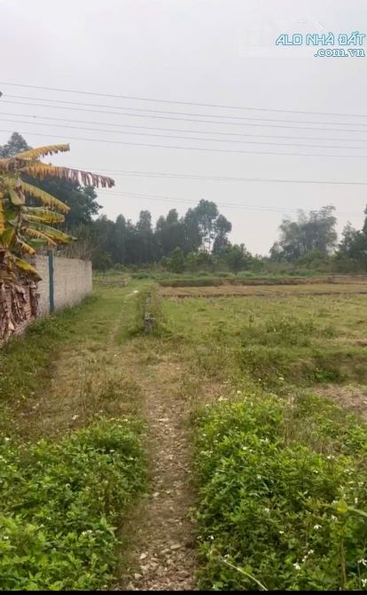 Bán 3 Lô Đất Mai Trung - Hiệp Hòa, DT 90m x mặt tiền 5m, ô tô tránh, 799 triệu đồng - 1