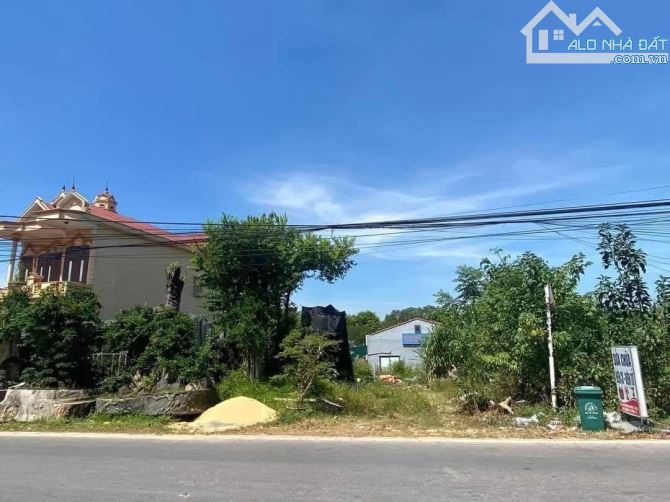 Bán nhanh lô đất đẹp mặt tiền kinh doanh đường Phan Đình Phùng - 2