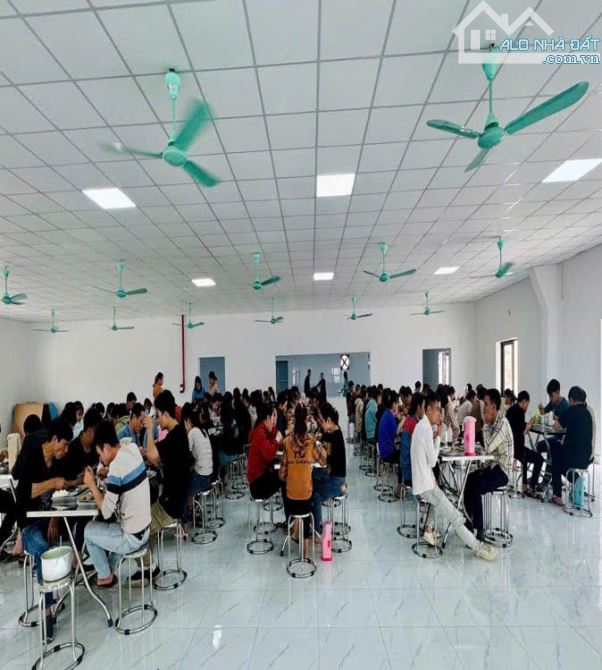 CC CHO THUÊ XƯỞNG VỚI ĐẦY ĐỦ HẠNG MỤC HƠN 10.000m2 - 2