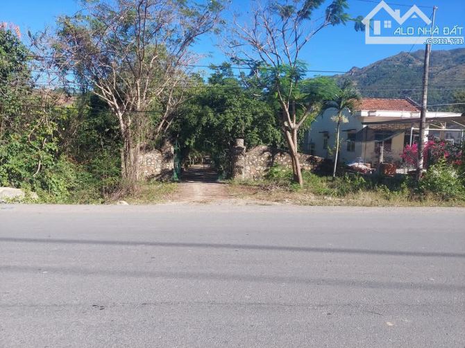 Bán đất mặt tiền tỉnh lộ 3 và mặt suối tại Phước Đồng, Nha Trang, Khánh Hòa. - 2
