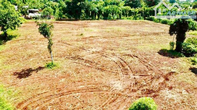 [CƠ HỘI ĐẦU TƯ] 5.500m2 Đất thổ 2 Mặt Tiền – Gần Trung Tâm Buôn Hồ, Daklak chỉ 1tỷ290tr - 2