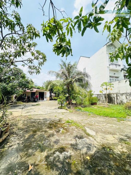 🔥Nhà Cấp 4,đường Hà Huy Giáp,Phường THẠNH LỘC Quận 12.dt:769 (12x64) đường 6m 💵30tỷ.tl - 2