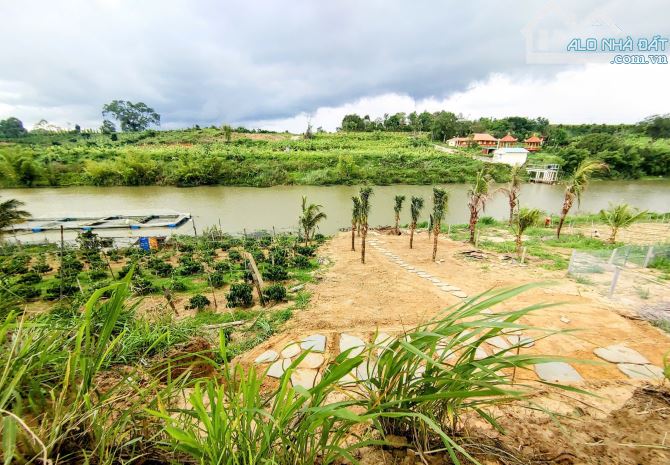 Bán 500m2 đất ở nghỉ dưỡng ở Ninh Gia-Đức Trọng-Lâm Đồng - 2
