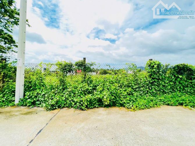 thị trấn Phước Hải-dt 1000M2 - 30M mặt tiền-(30x33) đất phủ hồng-sổ sẵn-giá 3tyx - 2